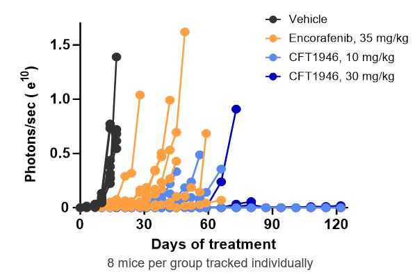 melanoma cns model.jpg