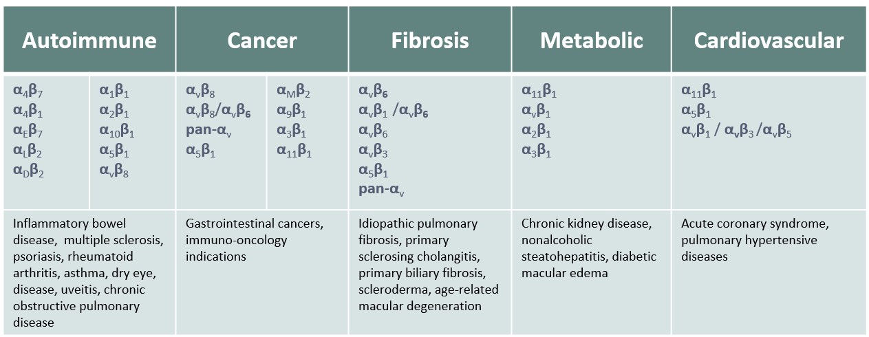 Integrin Receptors and Potential Therapeutic Areas of Relevence.jpg