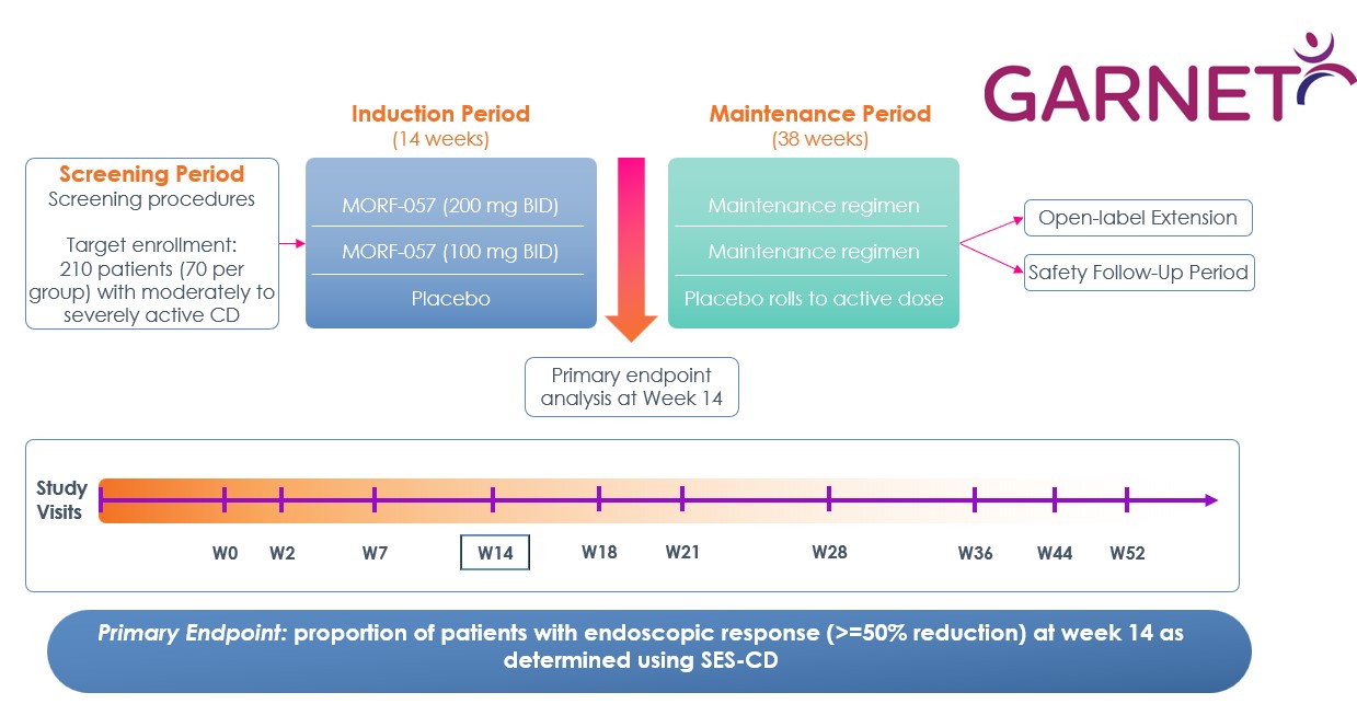 Figure 10 Garnet Study.jpg