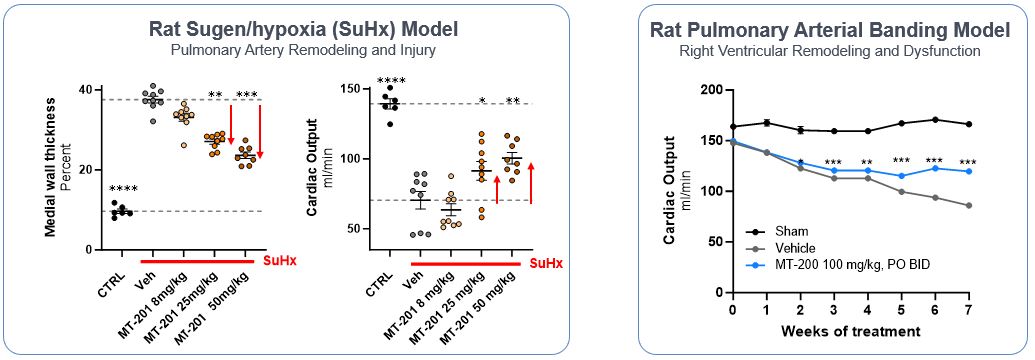 Figure 13 Replacement 37.jpg