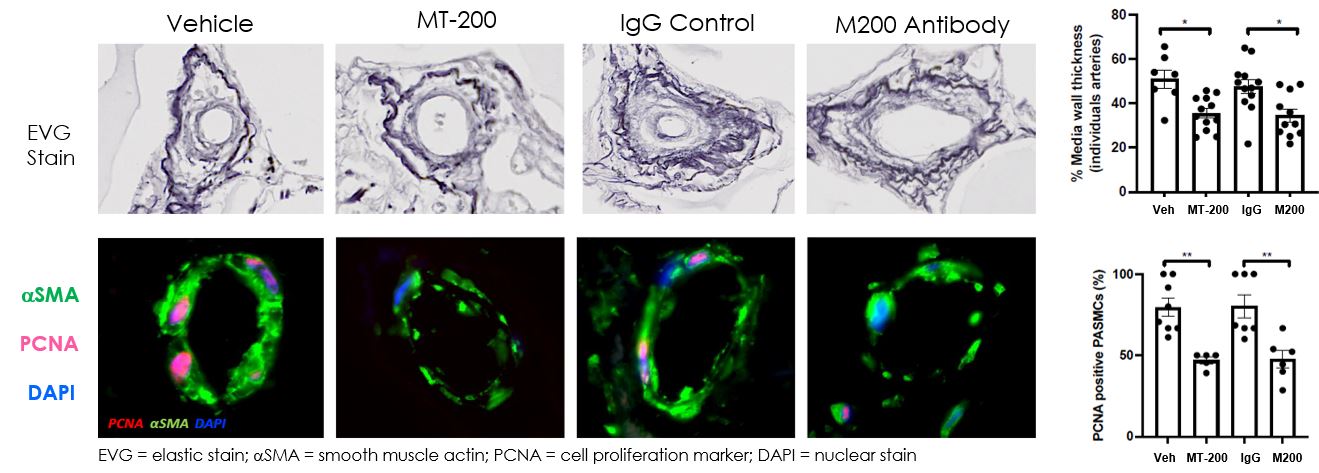 Figure 13 Replacement 37.jpg
