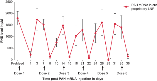 mrna-20201231_g41.jpg