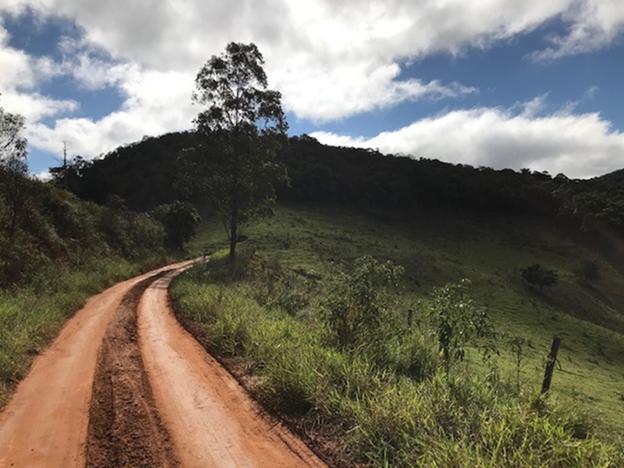 A dirt road with trees and grass on a hill

Description automatically generated