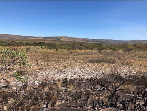 A dry landscape with trees and hills in the background

Description automatically generated