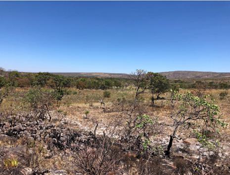 A landscape with trees and rocks

Description automatically generated