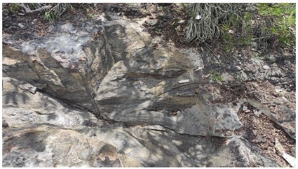 A close-up of a rock

Description automatically generated