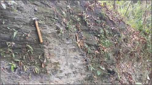 Floresta com árvores
Descrição gerada automaticamente com confiança média