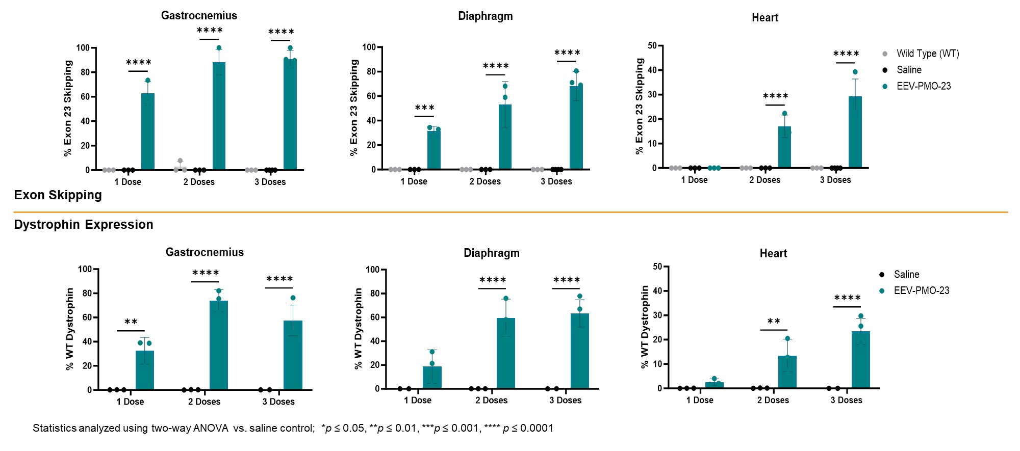 6 Week Repeat Dose.jpg