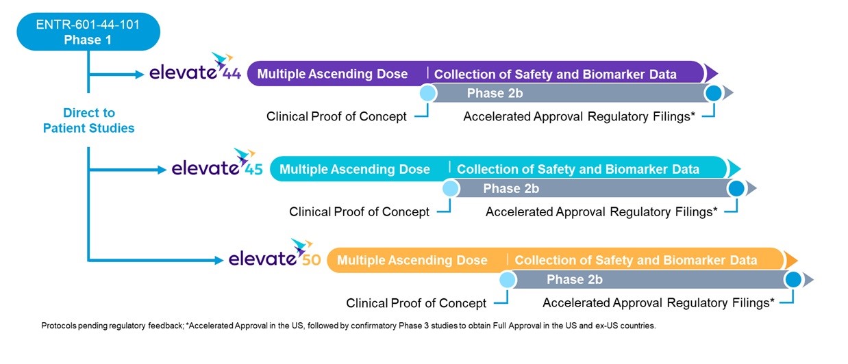 Elevate Programs.jpg