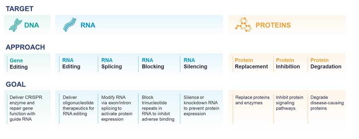 long term opportunity.jpg