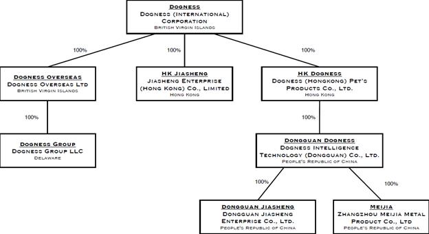 A diagram of company's company's company

Description automatically generated