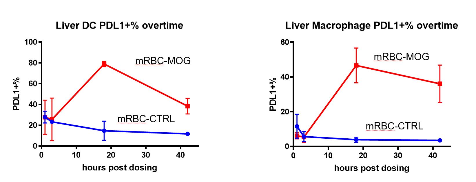 A close up of a map

Description automatically generated