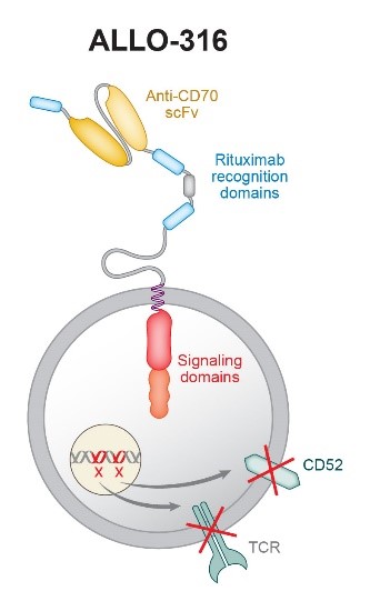 Business picture 7 (updated).jpg