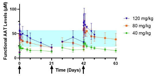 AAT Levels over time.jpg