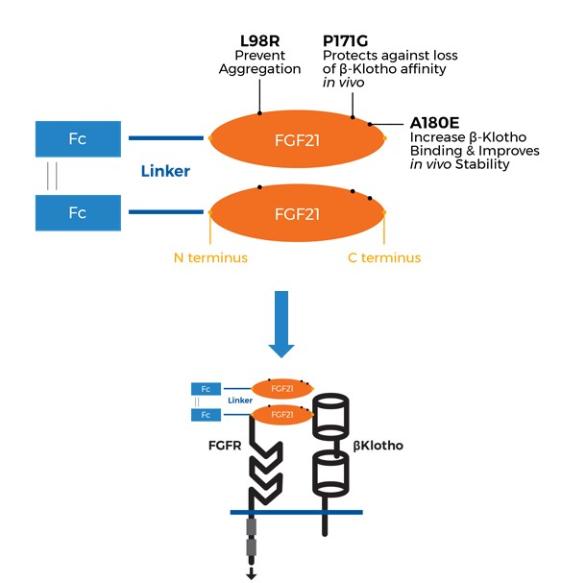 Diagram

Description automatically generated