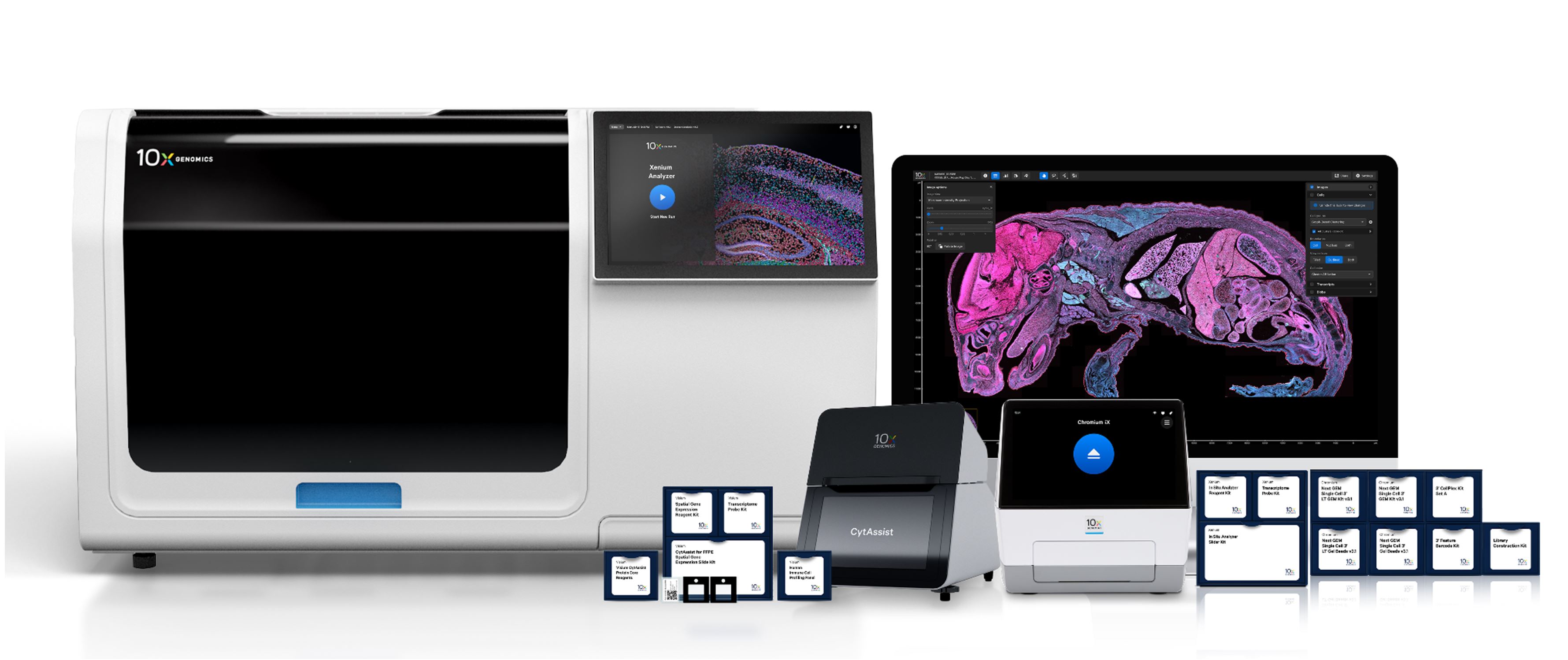 10x Product Family.jpg