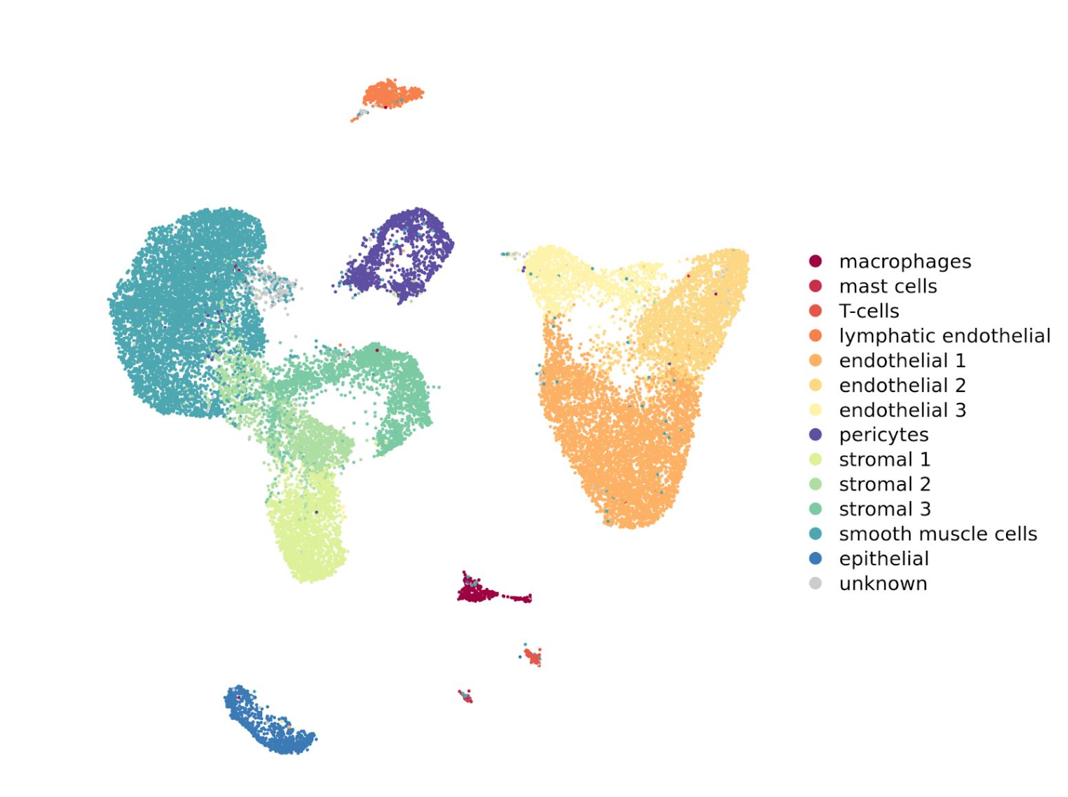 Single cell gene expression.jpg