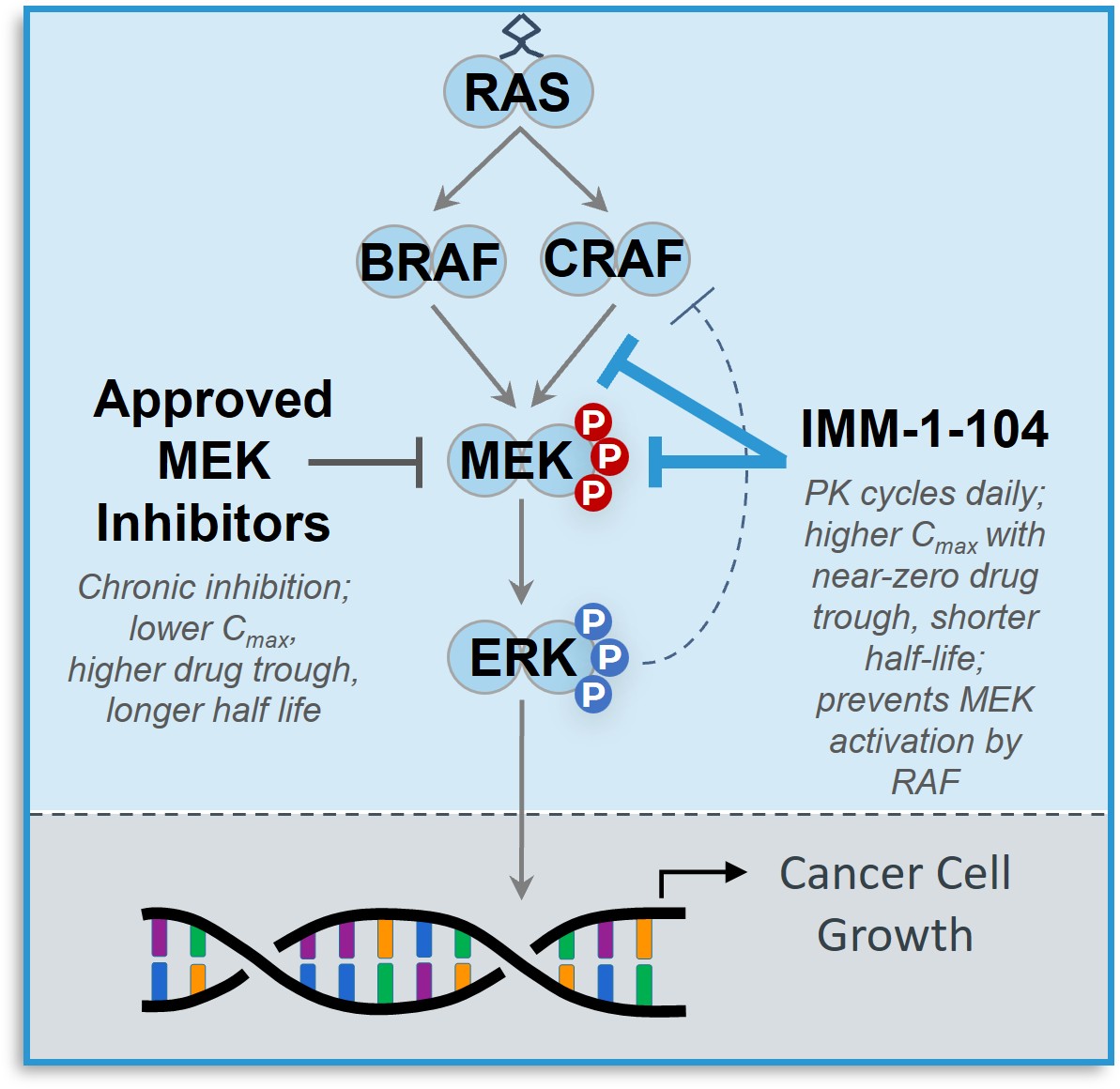 Fundamental Cancer Signaling Cellular Pathways.jpg