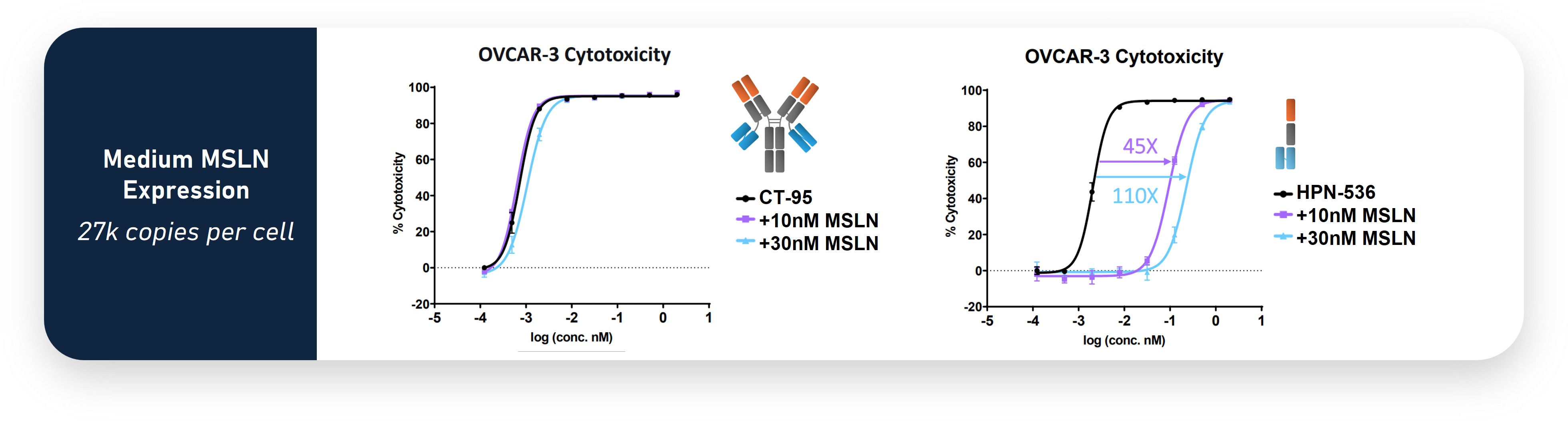 CT95 Shed Mesothelin.jpg