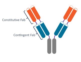 LB Locked for 10k.jpg