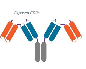 LB unlocked for 10k.jpg