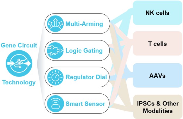 Gene Circuit Applications.jpg