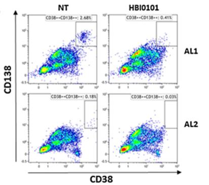 A group of images of a group of dots

Description automatically generated with medium confidence