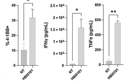 Chart

Description automatically generated