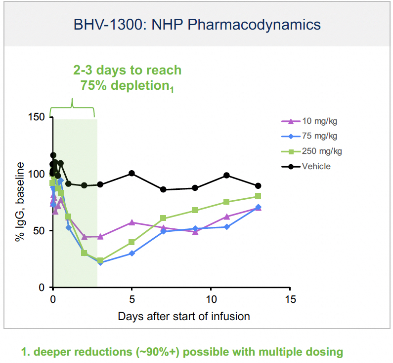 revisedbhv1300graphic (1).jpg