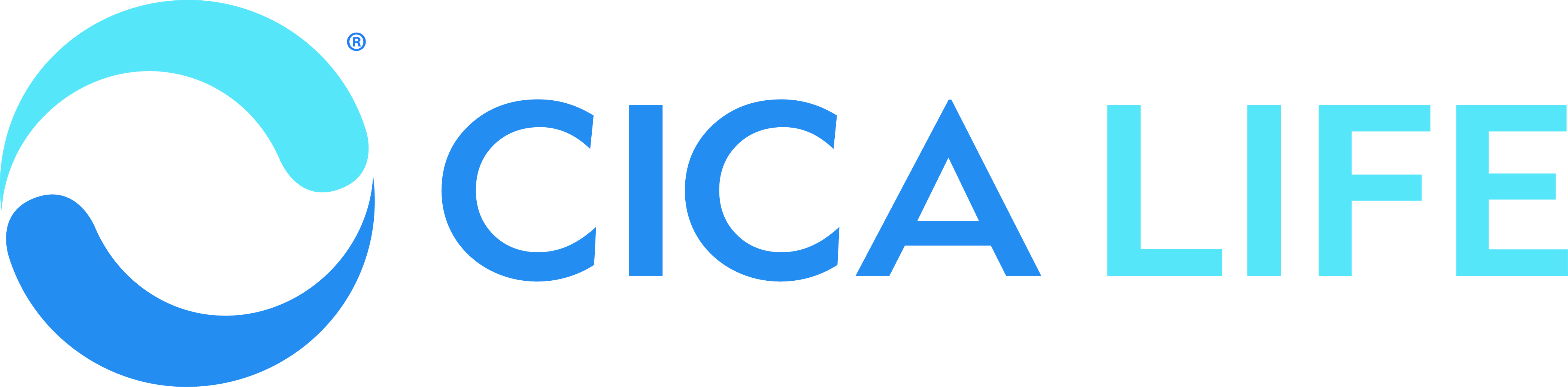 CICA LIFE - Primary (003).jpg