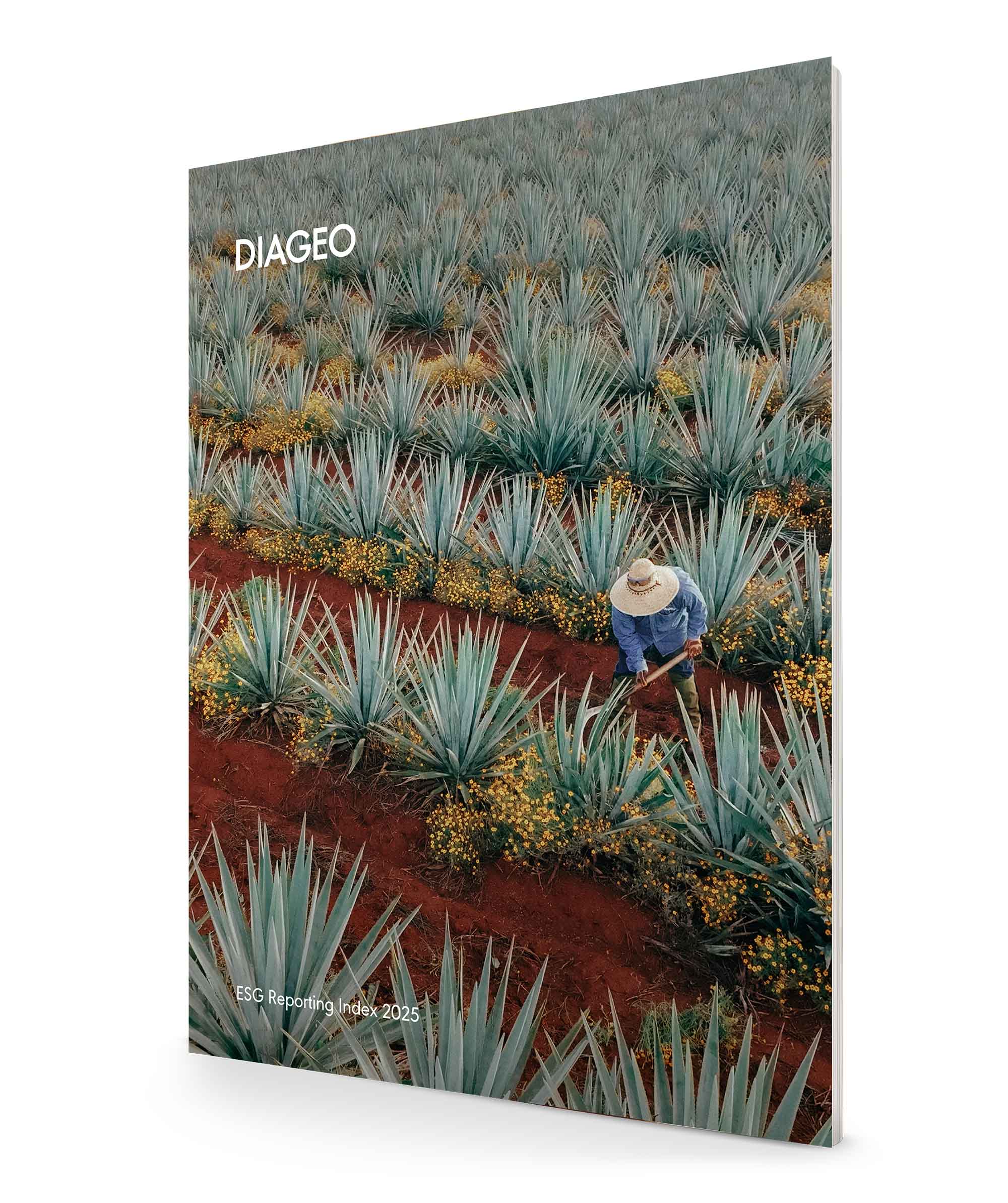 ESG Reporting-ERI25.jpg