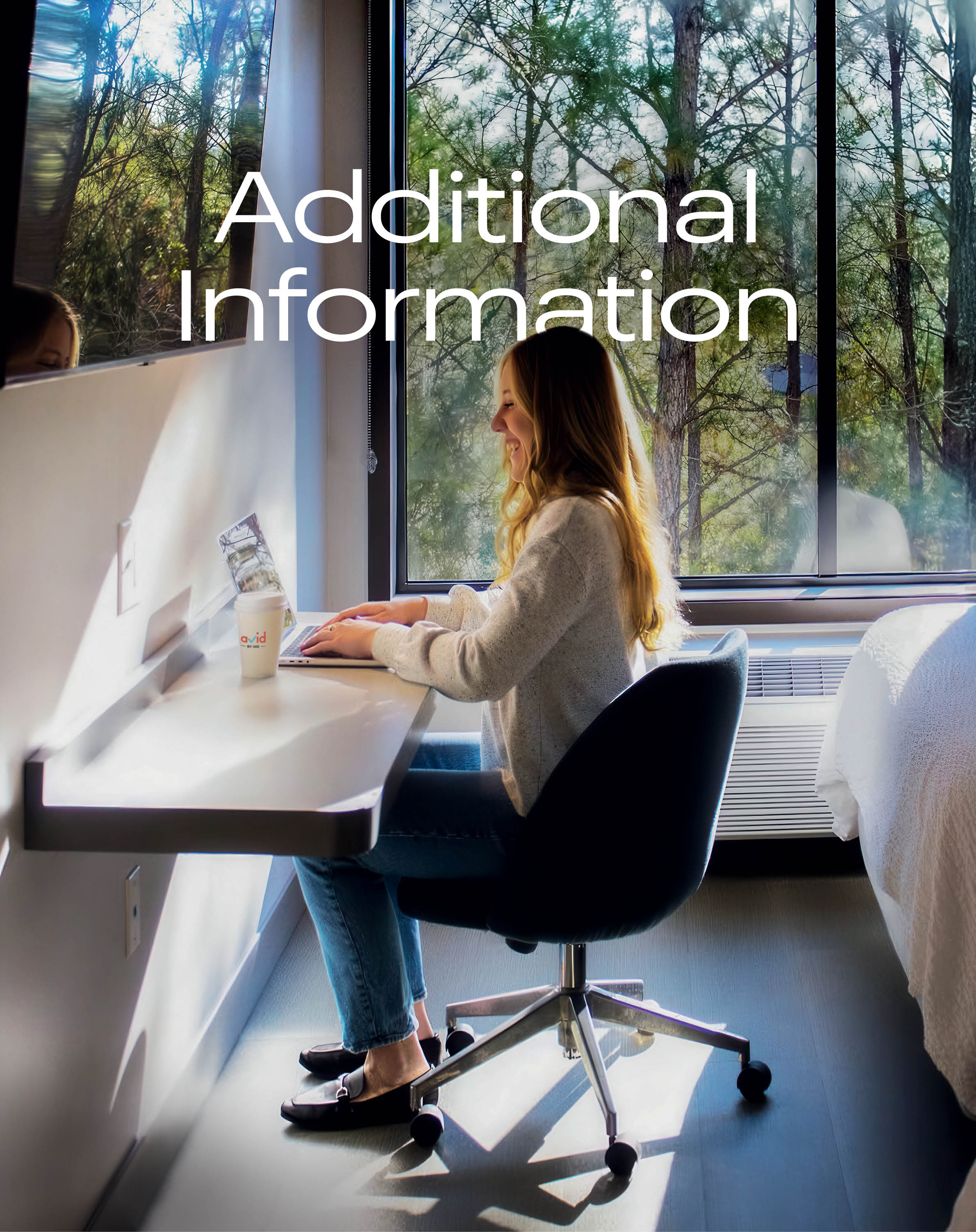 AdditionalInfo_divider.jpg